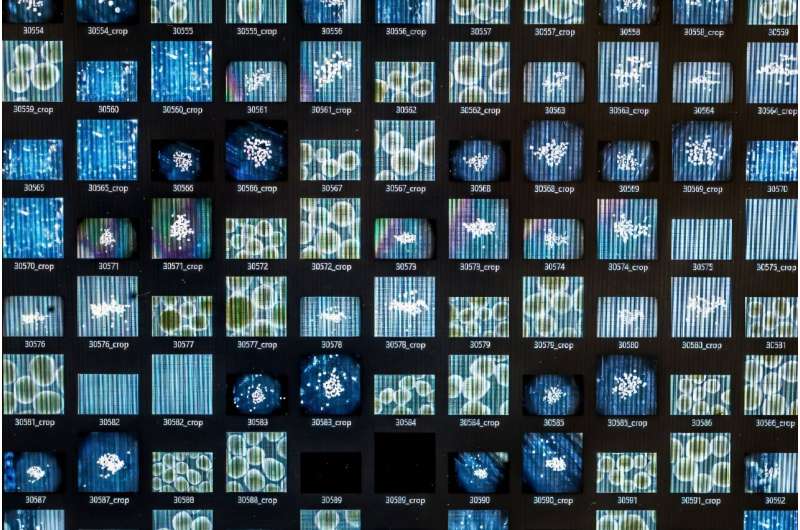 Biocomputing aims to harness the evolutionarily honed -- yet still mysterious -- computing power of the human brain