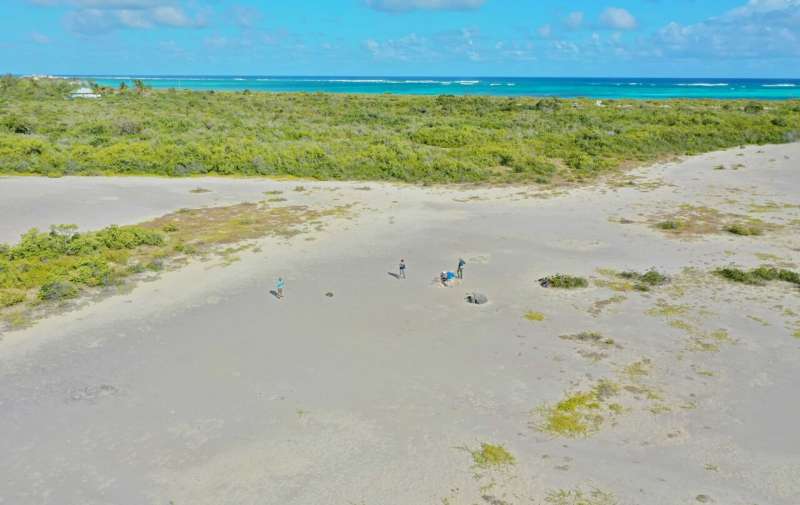 Coral skeletons left by a medieval tsunami whisper warning for Caribbean region