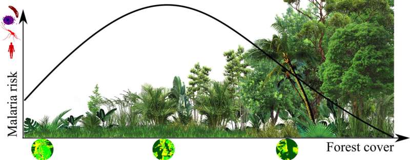 Malaria risk in the Amazon is higher in regions with intermediate forest degradation