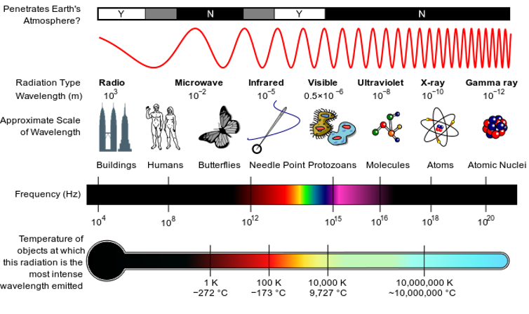 A diagram of the electromagnetic spectrum, with radio, micro and infrared waves having a longer wavelength than visible light, while UV, X-ray and gamma rays have shorter wavelengths than visible light.