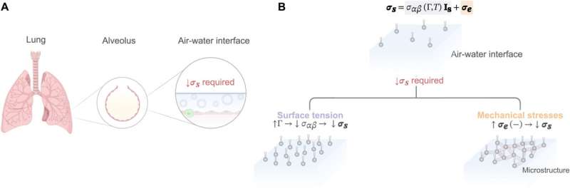 Why deep sighs are actually good for us
