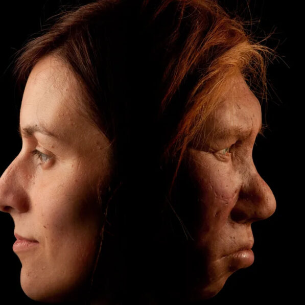 AI reveals which predators chewed ancient humans' bones ...