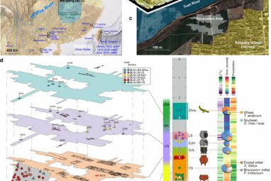 Ancient DNA reveals prehistoric connections and a patrilineal ...