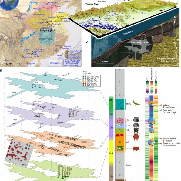 Ancient DNA reveals prehistoric connections and a patrilineal ...