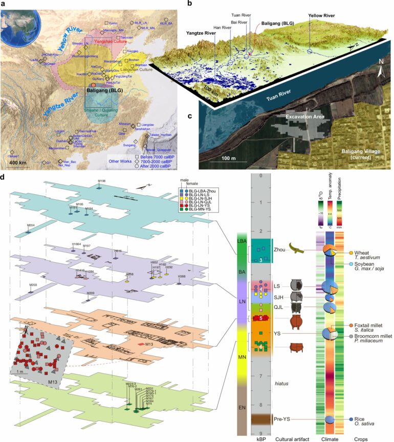 Ancient DNA reveals prehistoric connections and a patrilineal ...