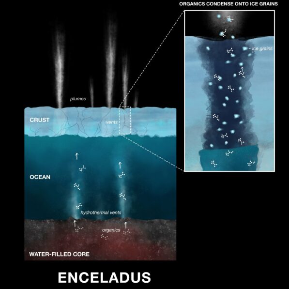 Cassini proves complex chemistry in Enceladus ocean