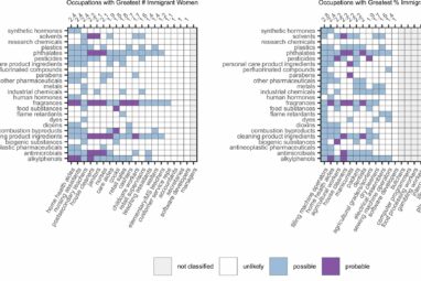 Common jobs held by immigrant women may put them at increased risk ...