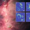 Cosmic tug-of-war: Gravity reshapes magnetic fields in star clusters