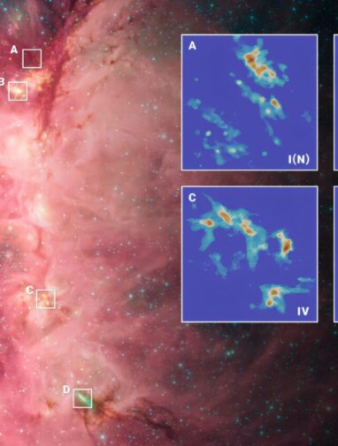 Cosmic tug-of-war: Gravity reshapes magnetic fields in star clusters