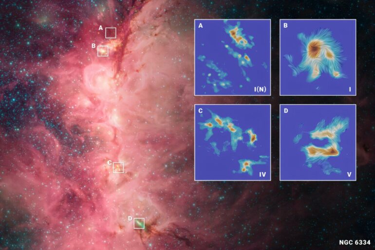Cosmic tug-of-war: Gravity reshapes magnetic fields in star clusters