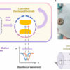 Electrohydrodynamics pump and machine learning enable portable ...