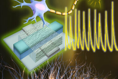 Engineers create first artificial neurons that could directly ...