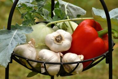 Food processing level outweighs plant-based label for heart health ...