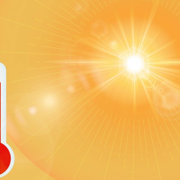 Forecasting system shows deaths in heat waves are predictable