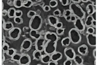 High-performance supercapacitor made from upcycled water bottles