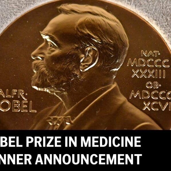 How does your immune system stay balanced? A Nobel Prize-winning ...