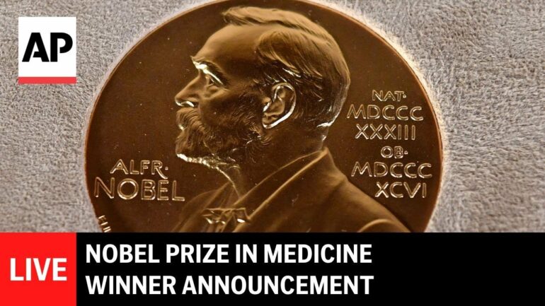 How does your immune system stay balanced? A Nobel Prize-winning ...