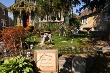 Symbolism of cemetery plants: How flowers, trees and other ...