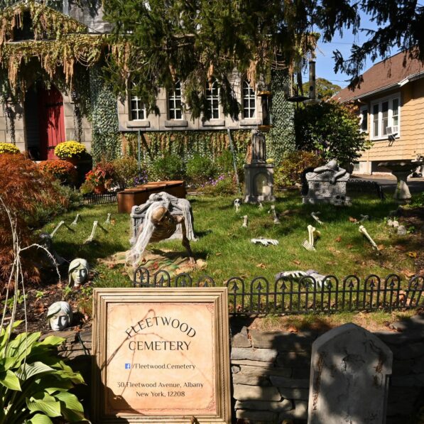 Symbolism of cemetery plants: How flowers, trees and other ...