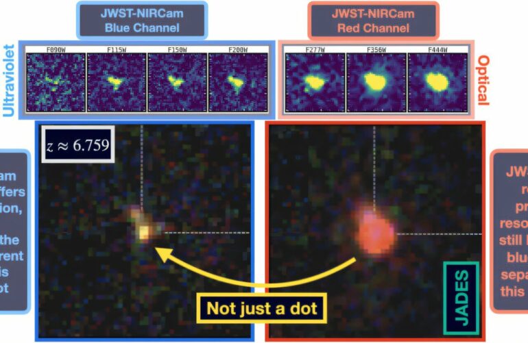 Little Red Dots frequently reveal clumpy morphologies, some of ...