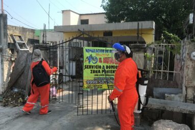 Major test of new method to control dengue mosquito shows ...