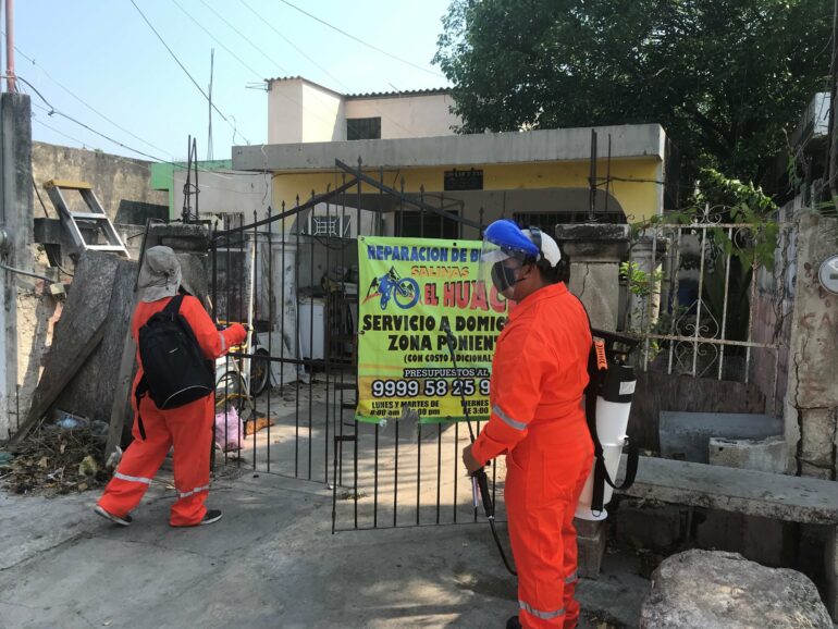 Major test of new method to control dengue mosquito shows ...