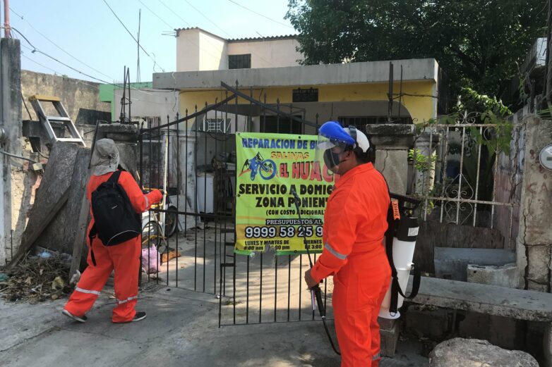 Major test of new method to control dengue mosquito shows ...