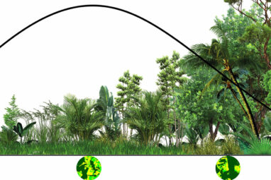 Malaria risk in the Amazon found to be higher in regions with ...