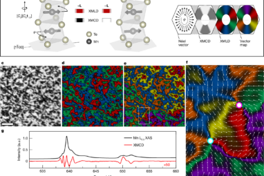 Nanoscale imaging and control of altermagnetism in MnTe | Nature