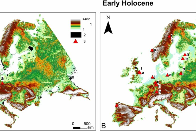 Neanderthals and Mesolithic hunter-gatherers shaped European ...