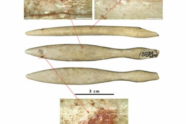 Oldest-known hippopotamus ivory object found in Iberian Peninsula ...