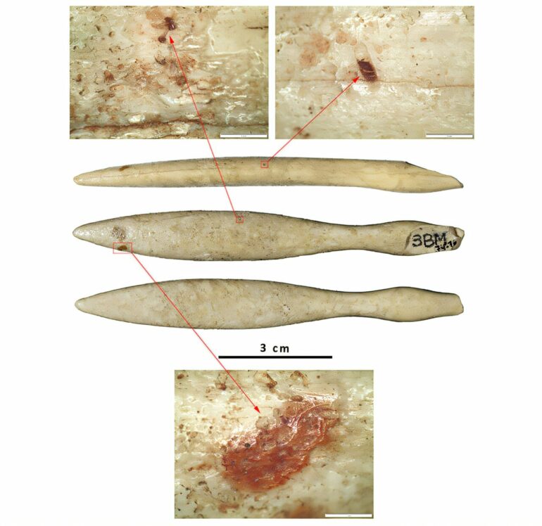 Oldest-known hippopotamus ivory object found in Iberian Peninsula ...