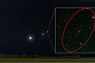 Search for elusive neutrino multiplets tightens limits on cosmic ...