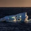 Southern Ocean's low-salinity Antarctic waters continue absorbing ...