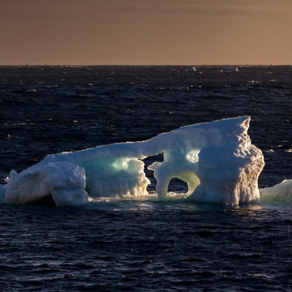 Southern Ocean's low-salinity Antarctic waters continue absorbing ...