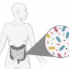 Sped-up evolution may help bacteria take hold in gut microbiome ...