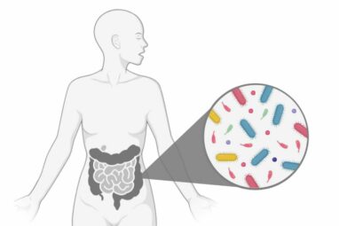 Sped-up evolution may help bacteria take hold in gut microbiome ...