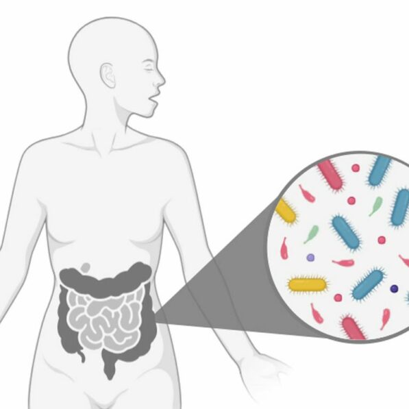 Sped-up evolution may help bacteria take hold in gut microbiome ...