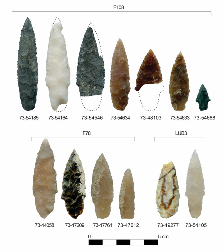 Stone tools trace Paleolithic Pacific migration into North America