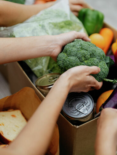 Why and how does personality emerge? Studying the evolution of ...