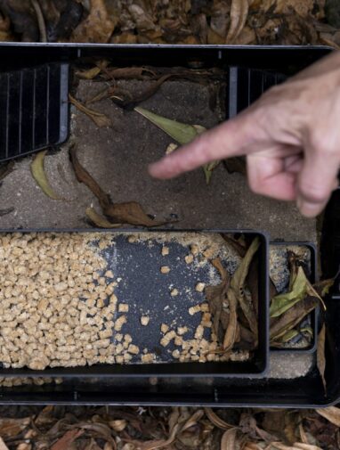 Woven baskets aren't just aesthetically pleasing – materials ...