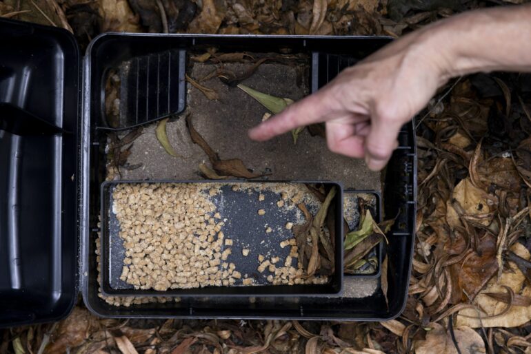 Woven baskets aren't just aesthetically pleasing – materials ...