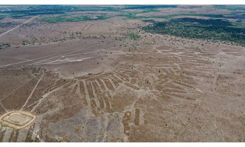 Landscapes that remember: clues show Indigenous Peoples have thrived in the southwestern Amazon for more than 1,000 years