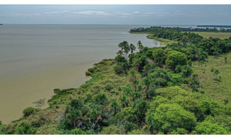 Landscapes that remember: clues show Indigenous Peoples have thrived in the southwestern Amazon for more than 1,000 years