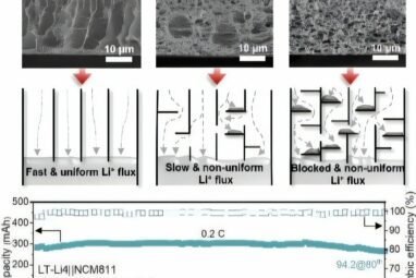 3D porous structure promises safer, longer-lasting lithium-metal ...