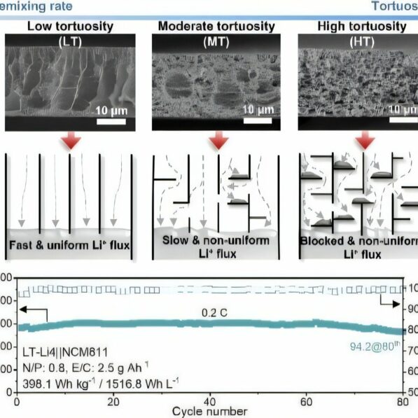 3D porous structure promises safer, longer-lasting lithium-metal ...