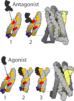 Diagram of different configurations of MOR