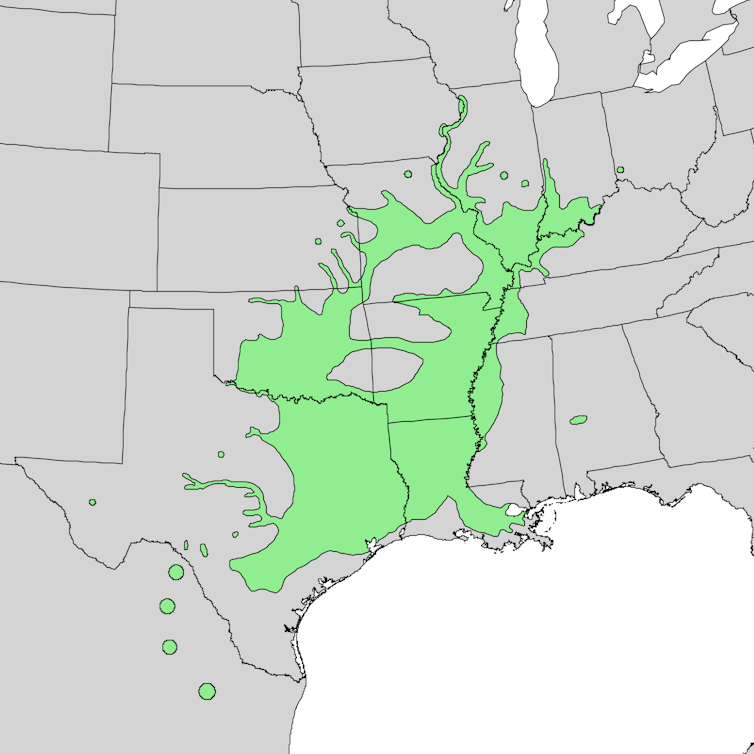 A map of the US with parts of Texas, Louisiana, Oklahoma, Arkansas and Missouri highlighted in green.