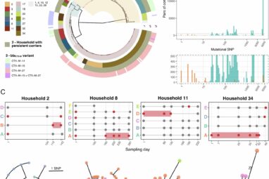 Asymptomatic carriers drive E. coli spread in households ...