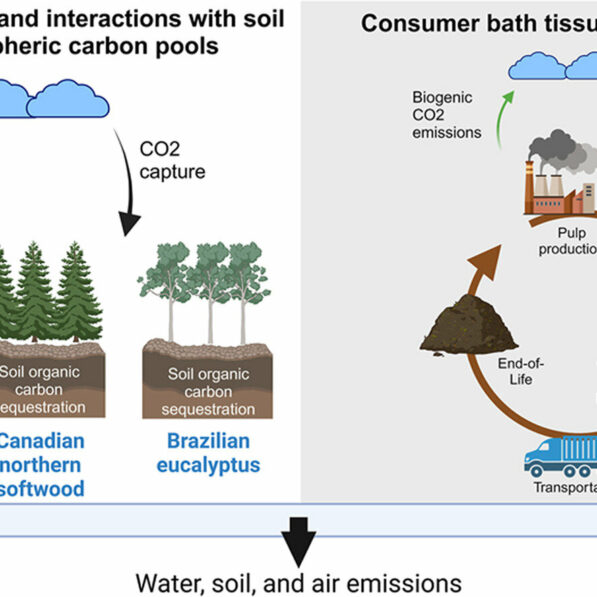 Bamboo tissue paper may not be as eco-friendly as you think